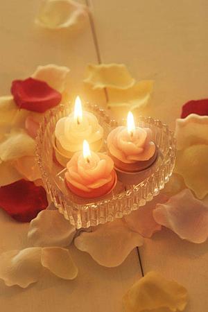 費用面が最安値を打ち出す婚活サポートを