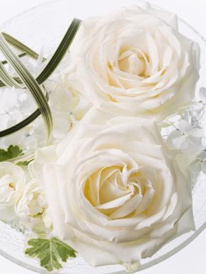 富山で見つける理想の指輪！婚約・結婚指輪の選び方完全ガイド