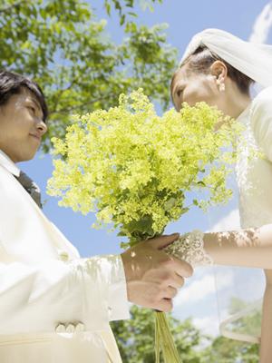 お気に入りの結婚指輪を探してみたい