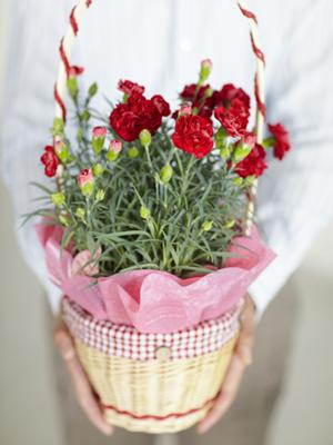 郡山市の結婚指輪に自信があるお店