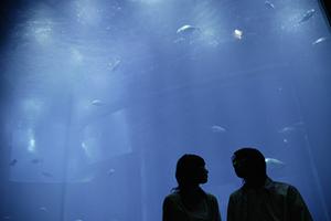 広島本通商店街で見つける理想の婚約指輪！デザインから選び方まで徹底ガイド