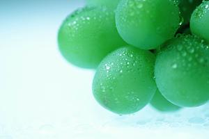 和装のフォトウェディングなら、京都の絶景ロケーションで最高の思い出を残せる！