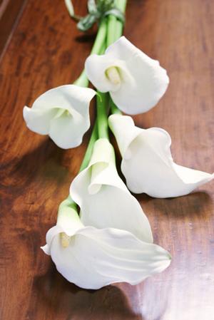 高学歴の方と出会える結婚相談所