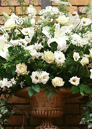 仙台の結婚指輪なら東北最大級の専門店